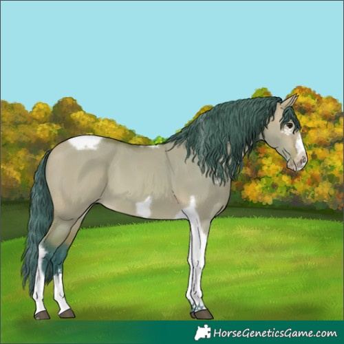 Horse Color:Watercolor Bay Dun Tobiano Frame