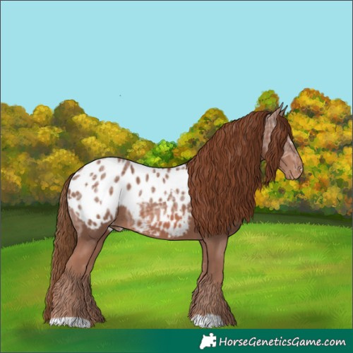 Horse Color:Chestnut Ice Blanket Rabicano 