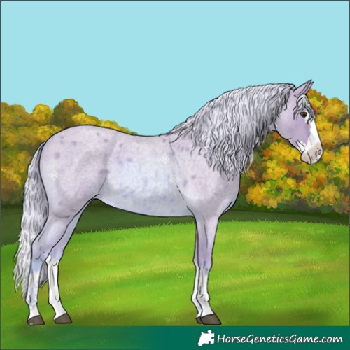 Horse Color:Watercolor Palomino Roan Splash