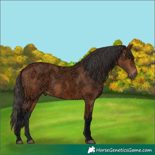 Horse Color:Bay Ice