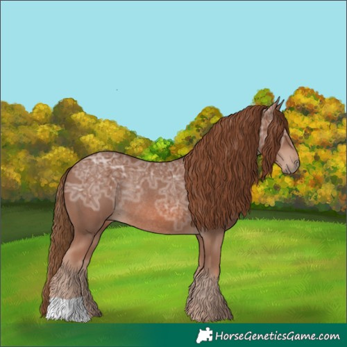 Horse Color:Chestnut Ice Rabicano