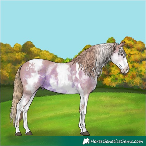 Horse Color:Watercolor White Spotted Chestnut Tobiano