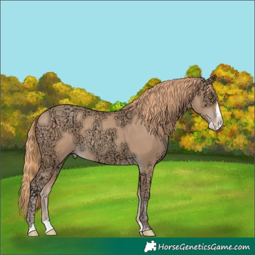 Horse Color:Gold Champagne Ice Splash Rabicano 