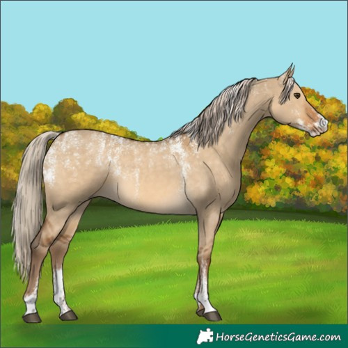 Horse Color:Powder White Chocolate Palomino Dun 