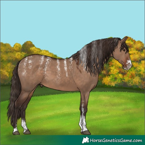Horse Color:Powder White Liver Red Dun 