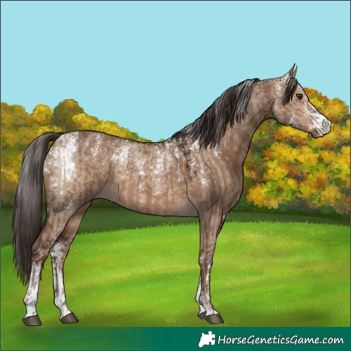 Horse Color:Powder White Liver Red Dun  and Powder White Liver Red Dun 