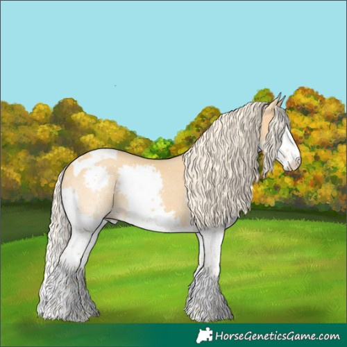 Horse Color:Palomino Dun Splash Tobiano Rabicano 