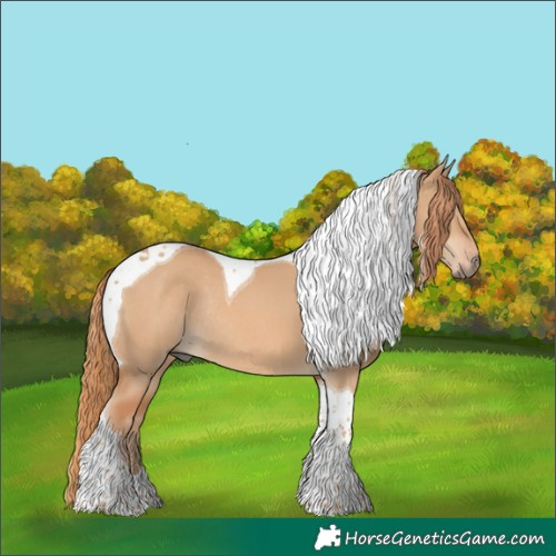Horse Color:Red Dun Tobiano Rabicano 