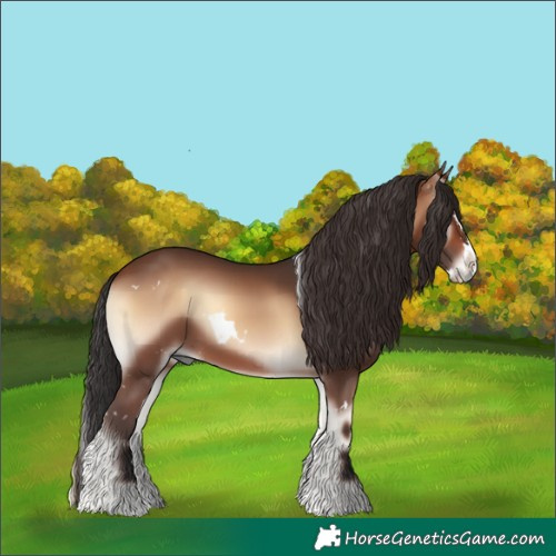Horse Color:White Spotted Brown Onyx Splash Rabicano