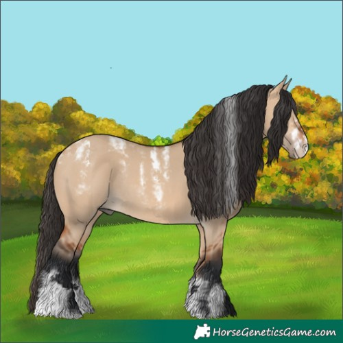 Horse Color:Powder White Bay Dun Frame Rabicano