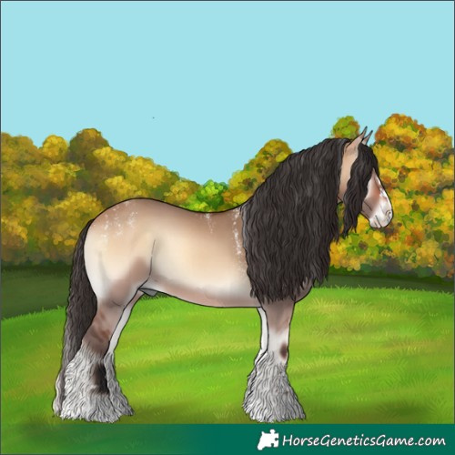 Horse Color:Powder White Bay Onyx Splash 