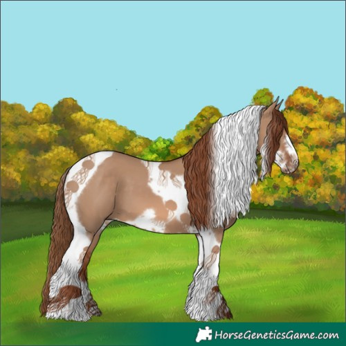 Horse Color:Red Dun Tobiano Frame