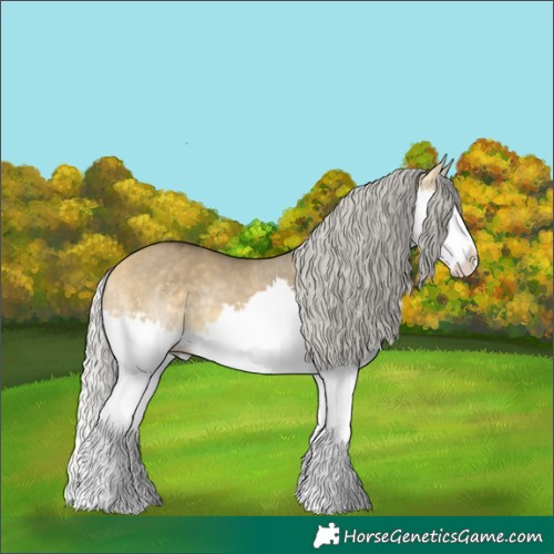 Horse Color:Silver Buckskin Dun Sabino Splash Rabicano