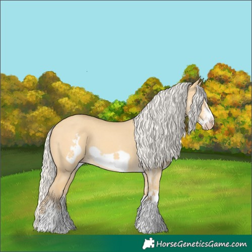 Horse Color:White Spotted Silver Amber Cream Champagne Dun Frame Rabicano