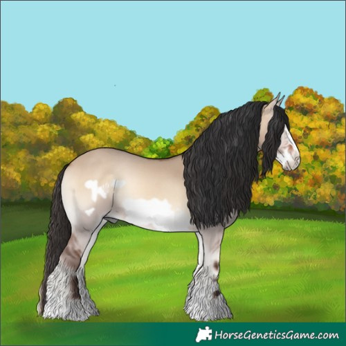 Horse Color:Bay Onyx Sabino Frame