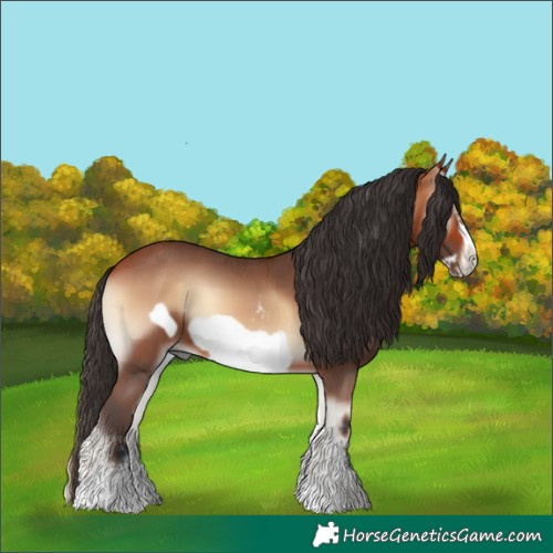 Horse Color:Bay Onyx Sabino Frame 