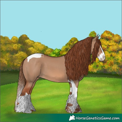 Horse Color:Red Dun Splash Tobiano