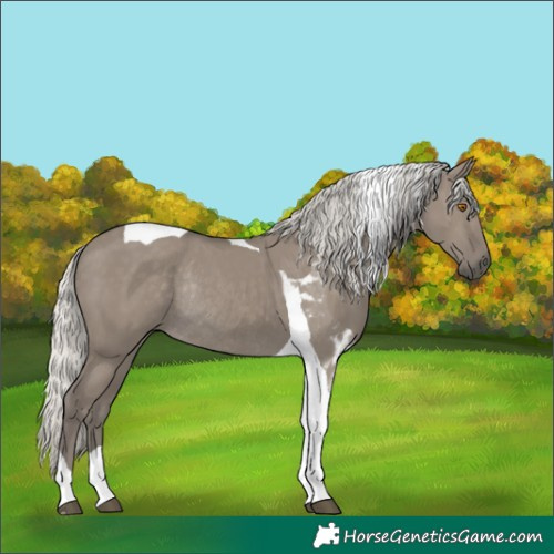 Horse Color:Silver Smoky Grullo Tobiano Rabicano