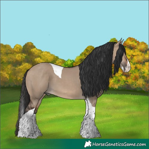 Horse Color:Brown Dun Splash Tobiano