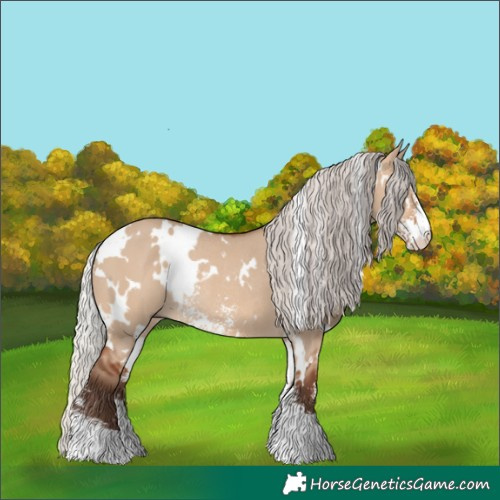 Horse Color:White Spotted Silver Brown Dun Sabino Rabicano 