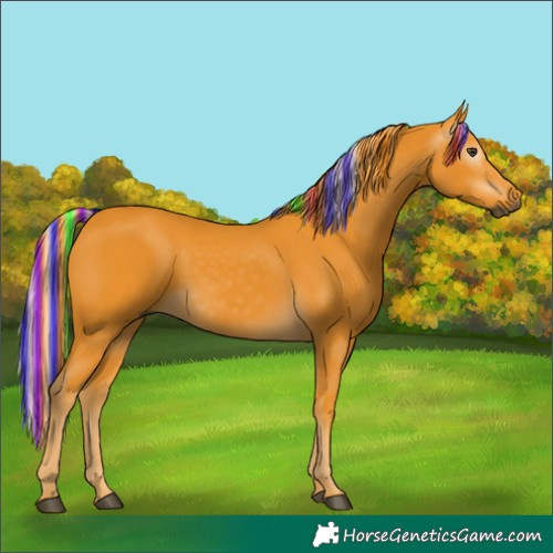 Horse Color:Gray Painted Palomino 