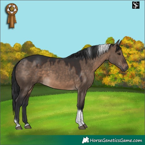 Horse Color:Brown Dun Tobiano