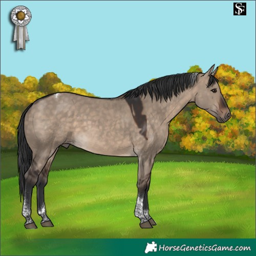 Horse Color:Brown Dun Tobiano