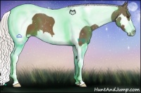 Horse Color:Silver Brown Splash Tobiano Frame