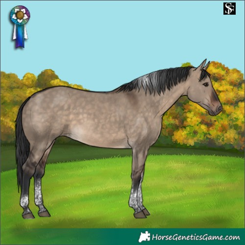 Horse Color:Brown Dun Tobiano 