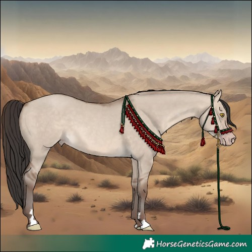 Horse Color:Sable Champagne Dun