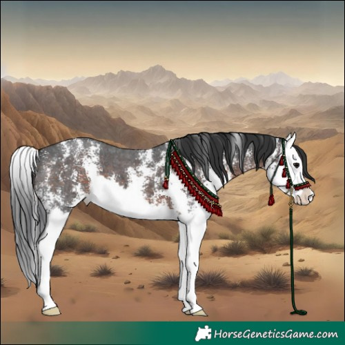 Horse Color:Brown Sabino Splash
