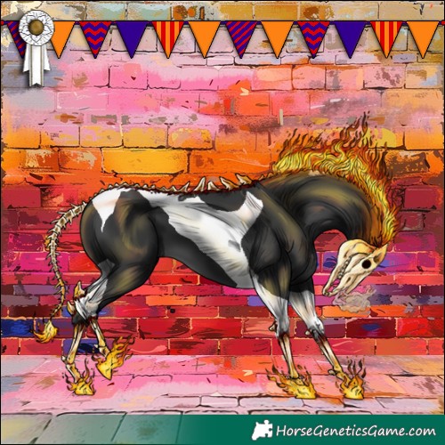 Horse Color:Black Tobiano 