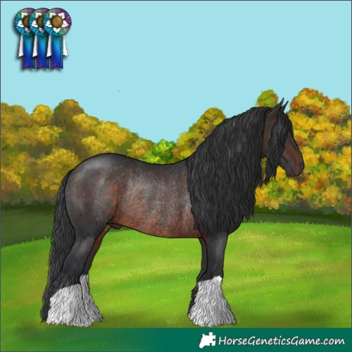 Horse Color:Brown Rabicano 