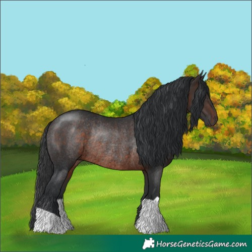 Horse Color:Brown Rabicano