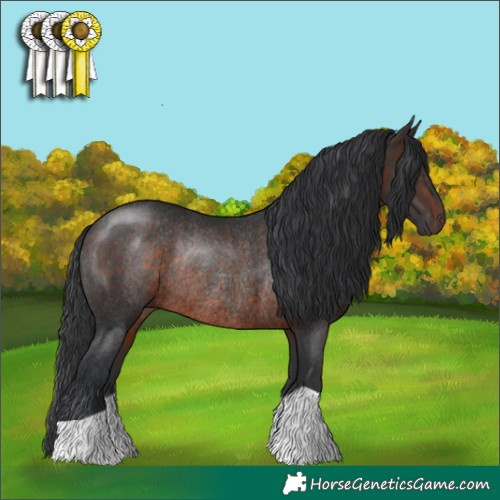 Horse Color:Brown Rabicano 