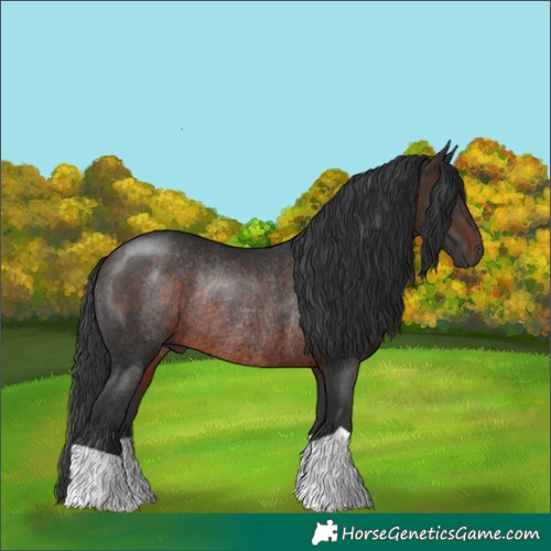 Horse Color:Brown Rabicano