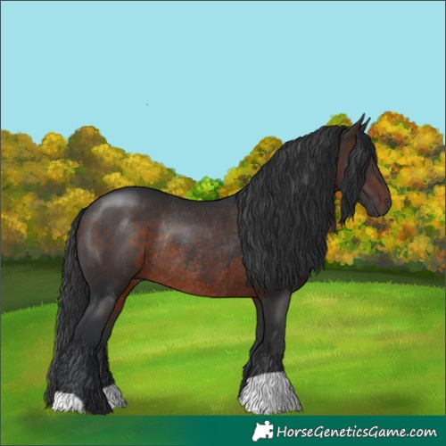 Horse Color:Brown Rabicano