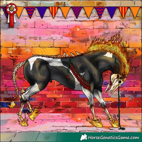 Horse Color:Black Tobiano 