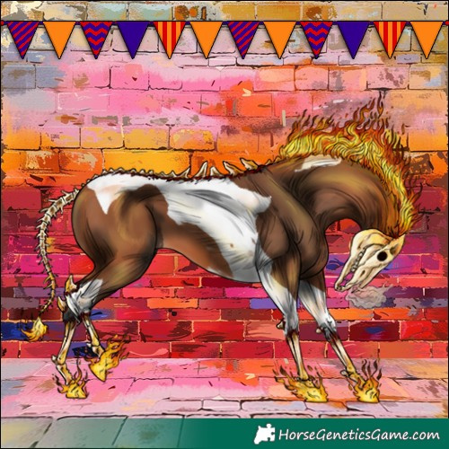 Horse Color:Bay Tobiano 