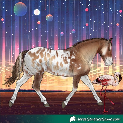 Horse Color:Red Onyx Tobiano Appaloosa 