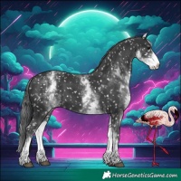 Horse Color:White Spotted Black Snowflake Varnish