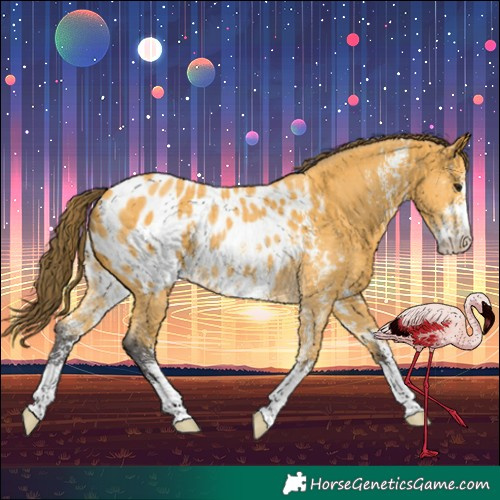 Horse Color:Buckskin Sabino Near Leopard Rabicano 