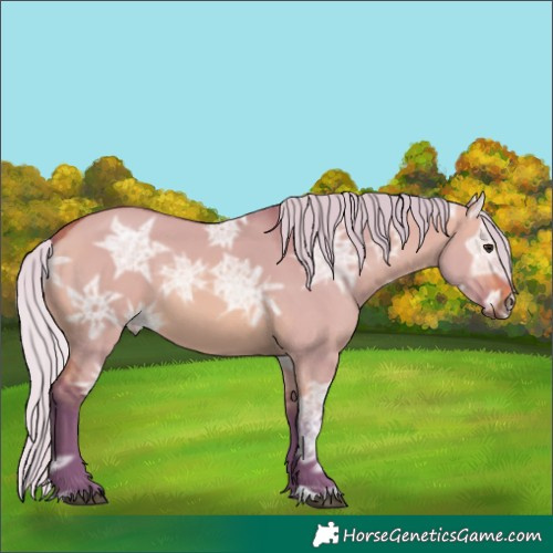 Horse Color:Watercolor Silver Bay Ice Dun 