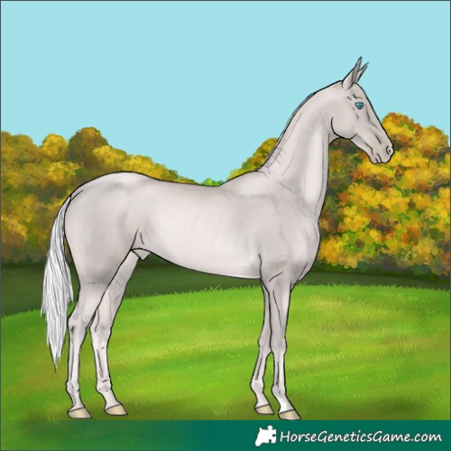 Horse Color:Platinum Chocolate Palomino Pearl Rabicano 