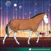 Horse Color:Bay Splash