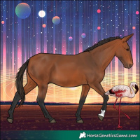 Horse Color:Bay 