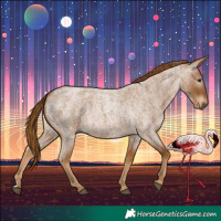 Horse Color:Gray Red Roan 