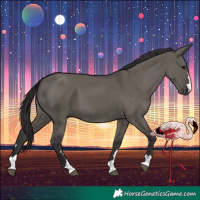 Horse Color:Smoky Grullo