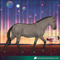 Horse Color:Smoky Grullo