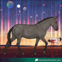 Horse Color:Smoky Grullo